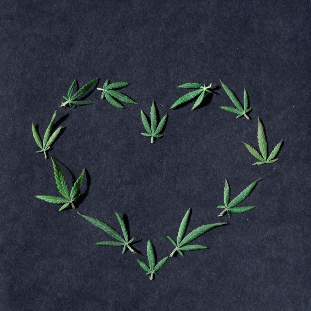 CBD decal.