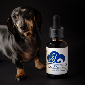 Pet-Friendly 500 mg CBD Oil
