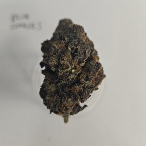 Cheetah Piss THCA Flower (Hybrid)