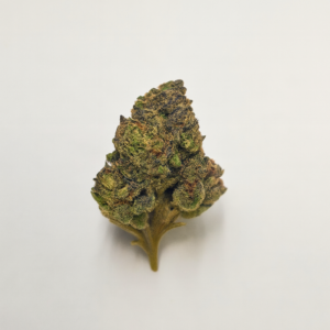 Funnel Cake THCA Flower (Hybrid)